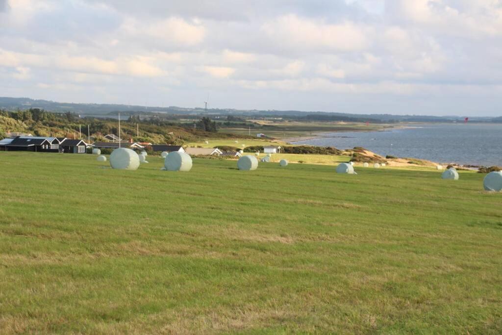 Beautiful And Amazing View - 3 Bedroom Cottage Vinderup Eksteriør bilde